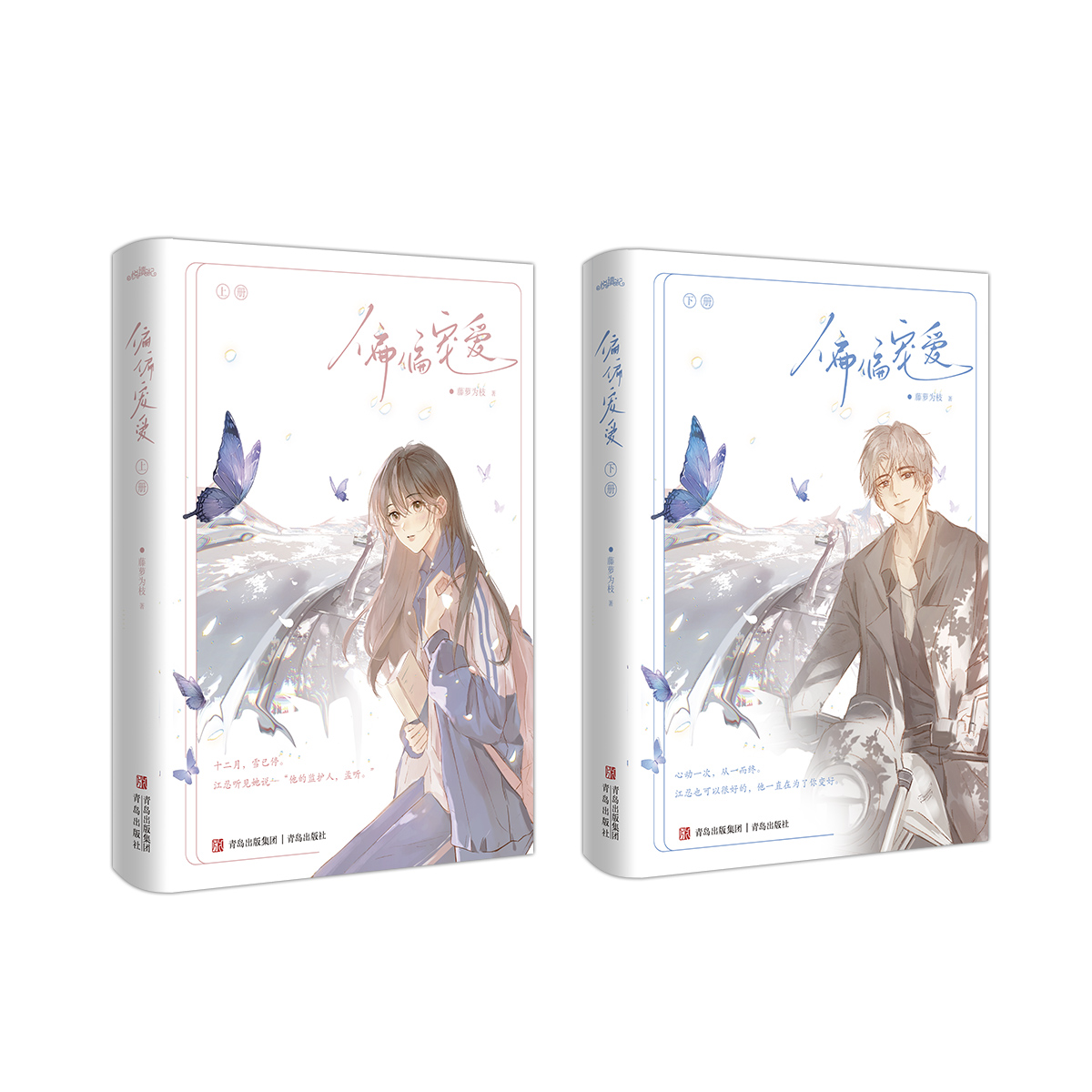 偏偏宠爱 [正版]附赠书签+海报+q图+明信片+人物卡偏偏宠爱小说全两册 藤萝为枝 一个关于青春成长治愈救赎的故事 青高清大图