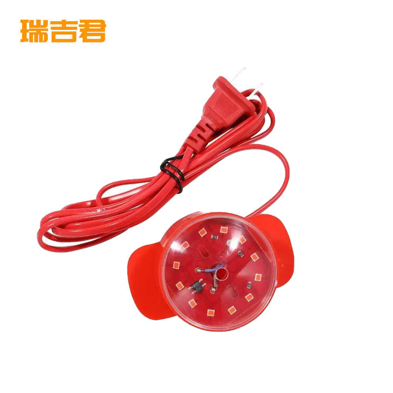 瑞吉君 灯笼专用灯泡 220V 5W 个