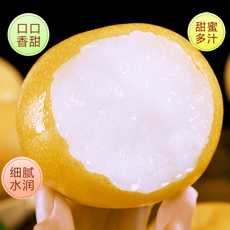 [熊猫鸟]精品圆黄梨 新鲜水果 松脆多汁 净重4.7斤装 单果250g以上高清大图