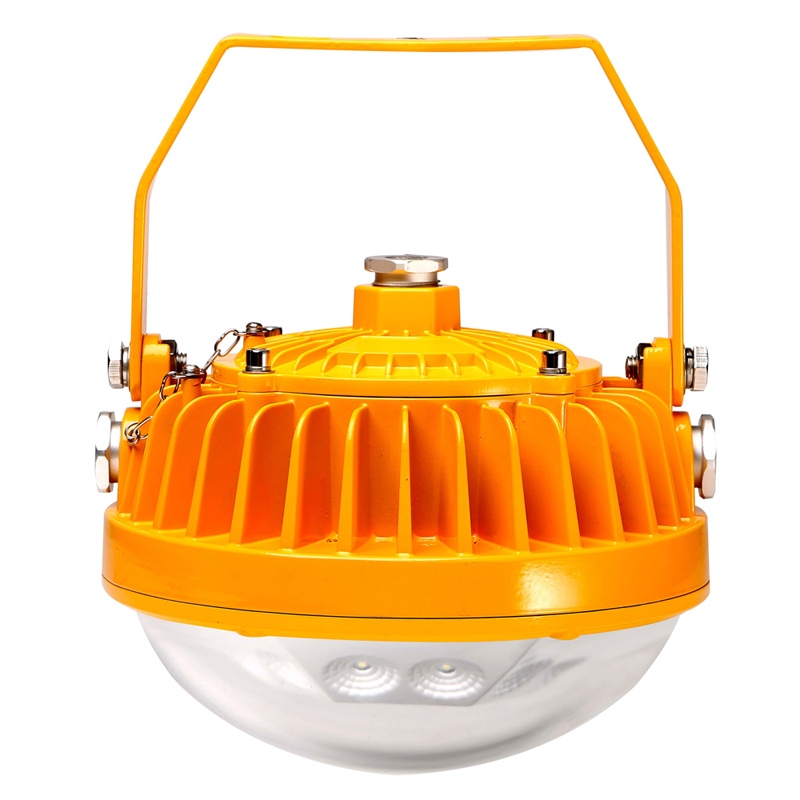 鼎晟丰(DSF)DSFF-951(30W)LED防爆节能泛光灯 黄色