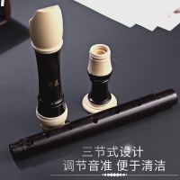 奇美竖笛中音英式B八孔F调巴洛克式8孔中音德式G成人初中学生笛子 8孔中音英式B字母(巴洛克式)23B全套版+送绒布袋