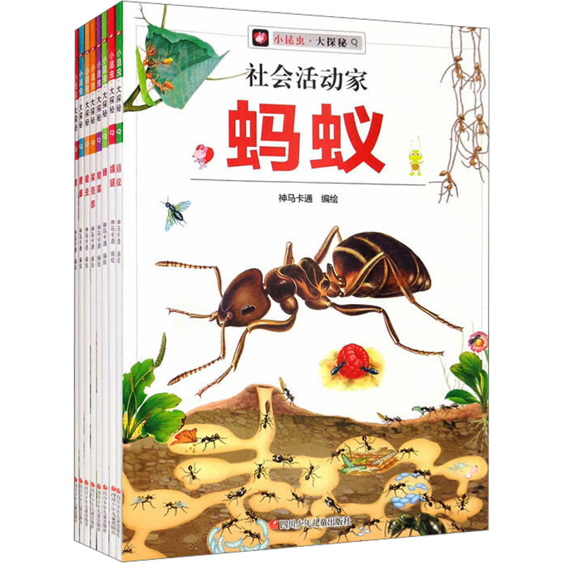 [M]小昆虫·大探秘(全8册) 神马卡通 绘 -9787572800238高清大图