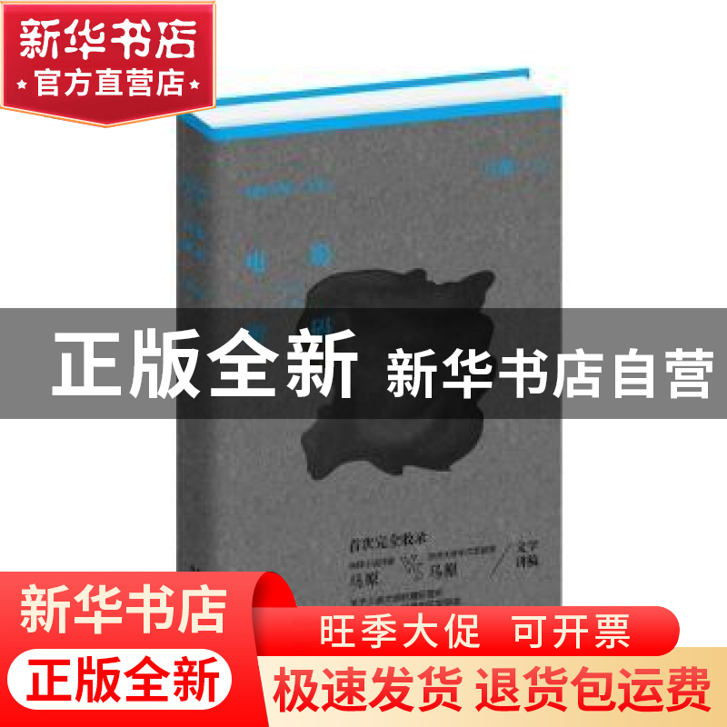 正版 电影密码 马原著 花城出版社 9787536067684 书籍
