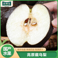 [苏鲜生]高原藏乌梨 净重2.7斤 时令黑梨非东北冻梨现摘大果无添加天然整箱