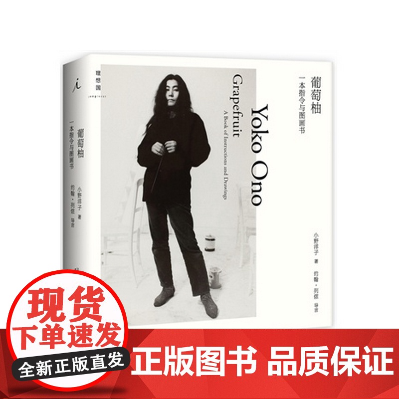 葡萄柚:一本指令与图画书 小野洋子 广西师范大学出版社高清大图