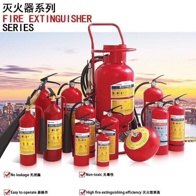 4公斤灭火器不指定品牌灭火器家用4公斤干粉手提式商用消防器材4kg2只