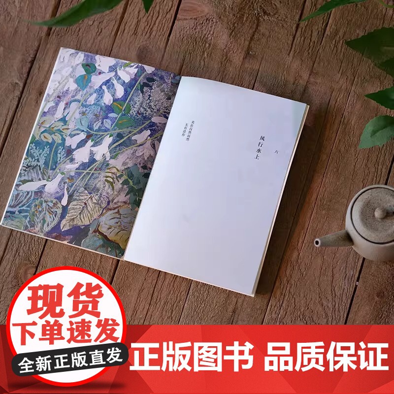 一蔸雨水一蔸禾 蔡皋 78岁“宝藏奶奶”艺术家蔡皋澄澈人生笔记 “金苹果奖”得主 宝儿桃花源的故事银杏叶子百鸟羽衣 散文高清大图