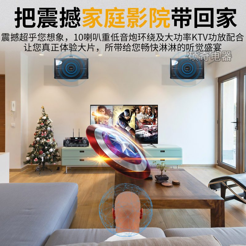 山水SP-10会议专用音箱
