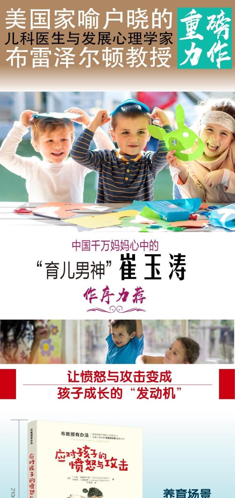 布教授有办法--应对孩子的愤怒与攻击