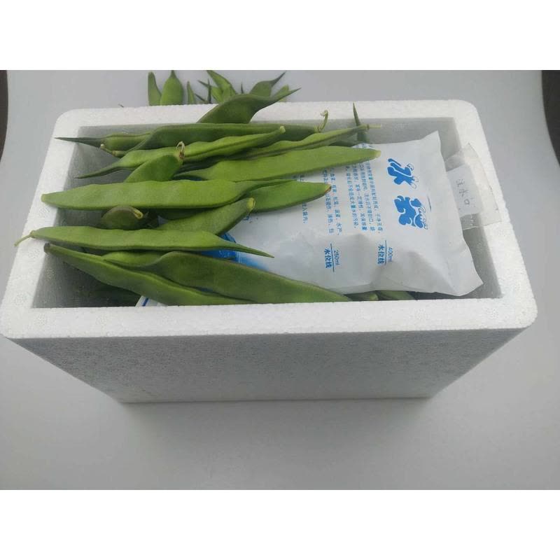 油豆角5公斤 油豆角正宗东北油豆角新鲜蔬菜九月青5斤东北豆角【价格图片品牌