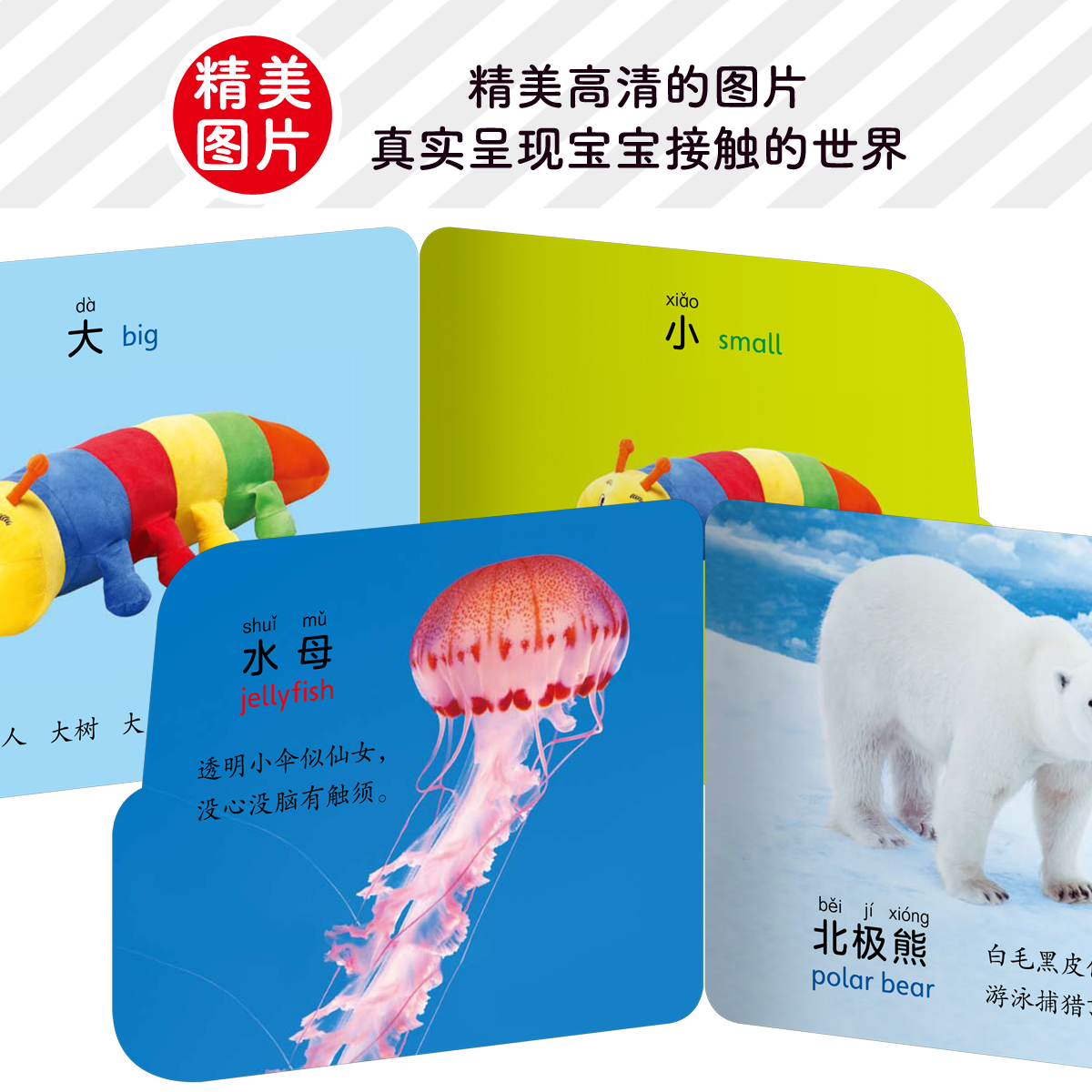 可爱动物/小车车翻翻卡 [正版]可爱动物/小车车翻翻卡0-1-2-3岁启蒙认知翻翻书玩具书 交通工具水果蔬菜认识数字看图高清大图