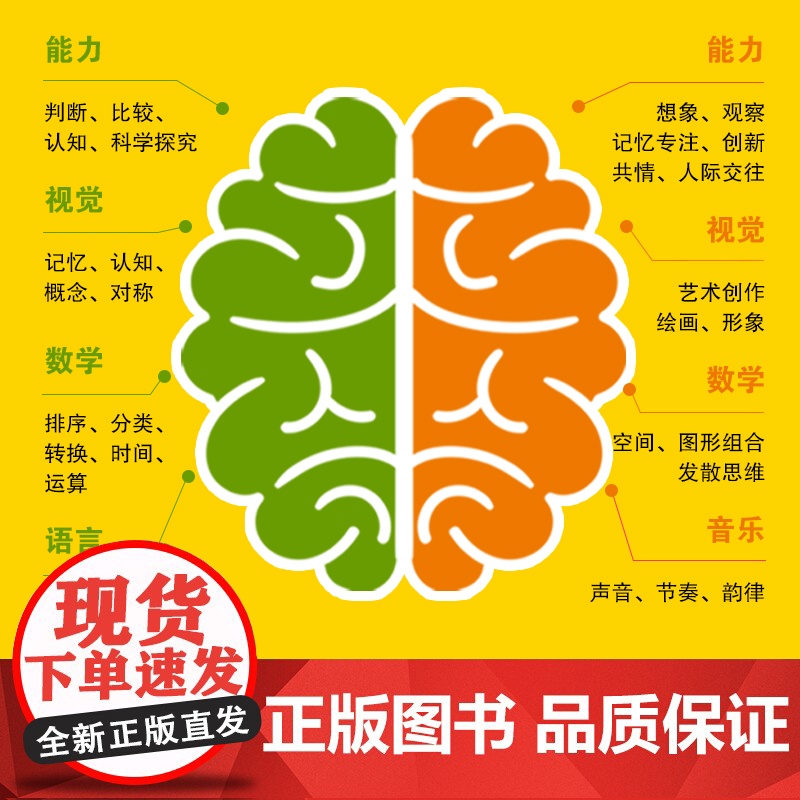 儿童全脑开发系列书3册2-3岁 儿童全脑潜能训练题潜能开发逻辑思维专注力记忆力提升高清大图