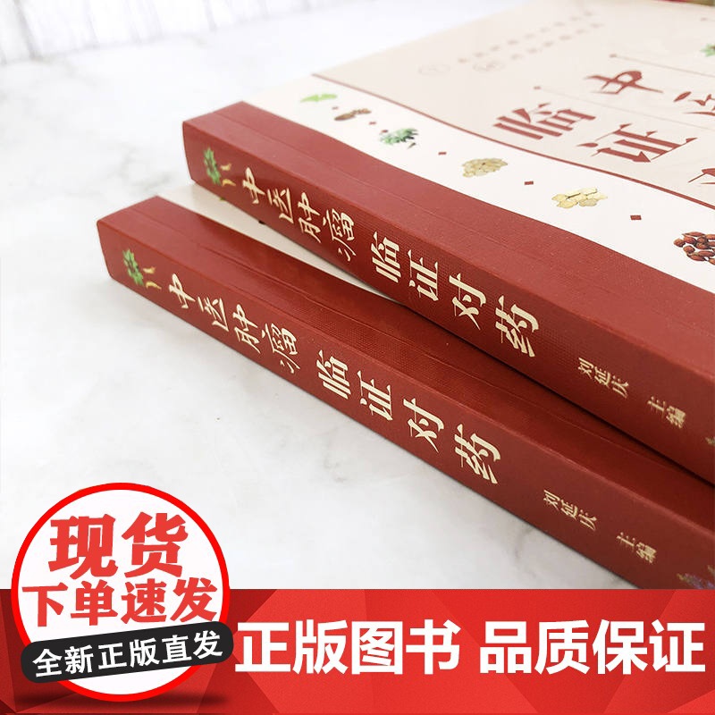 中医肿瘤临证对药 刘延庆 化学工业出版社 正版书籍高清大图