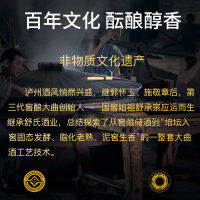 泸州老窖 世纪荣耀 红耀浓香型白酒52度500ml单瓶装