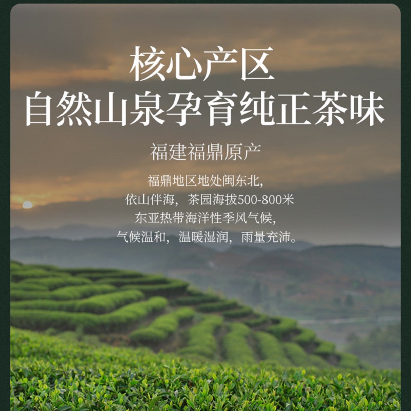 艺福堂时光尊品白牡丹老白茶300g/盒高清大图