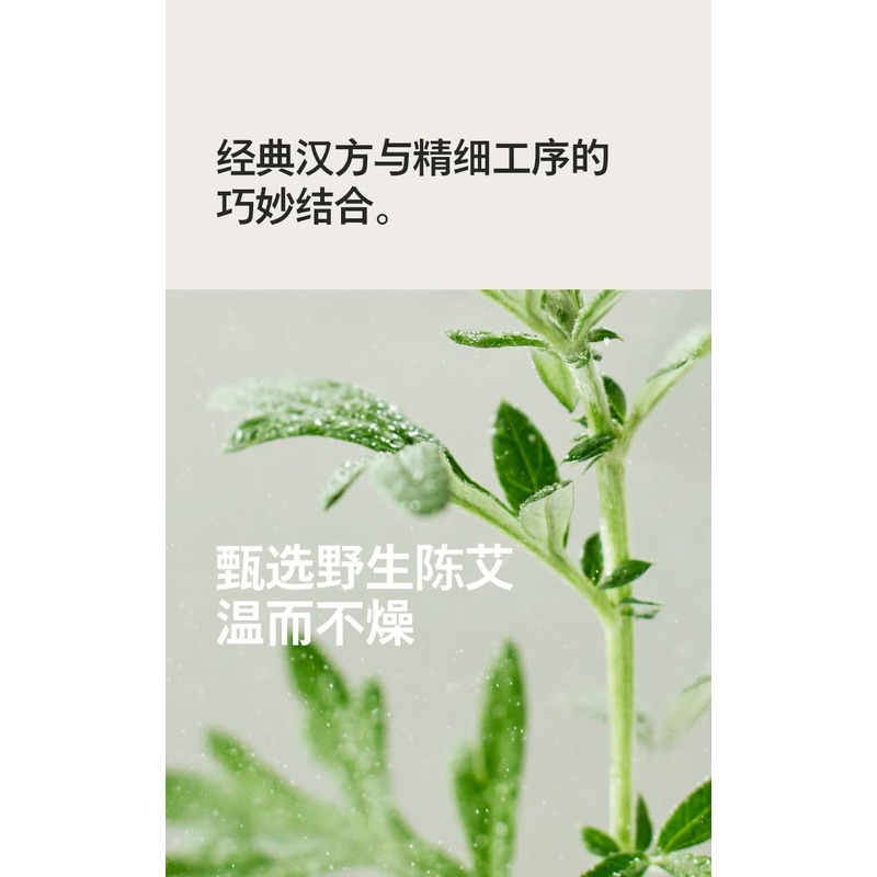 飞利浦 热敷仪 PPM3602N-三头高清大图