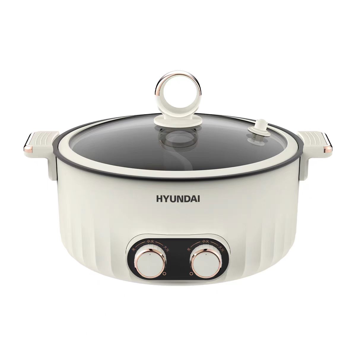 HYUNDAI现代 家用多功能锅 鸳鸯电火锅料理锅电煮锅 5L大容量一体电热锅 QC-HG1325A