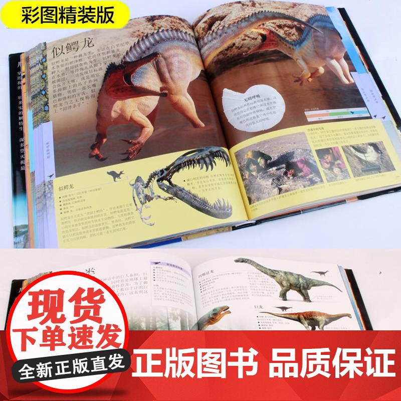 DK儿童恐龙百科全书英国DK公司 编 邢立达 等 译WX高清大图