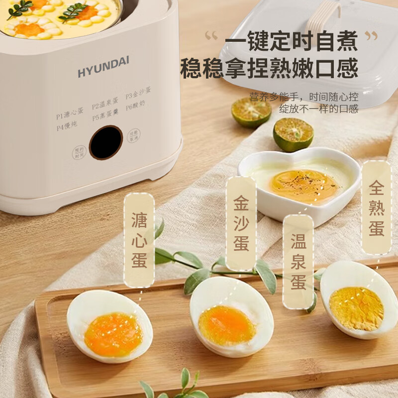 HYUNDAI(韩国现代)家用智能液体加热器(煮蛋器) NE-250A高清大图