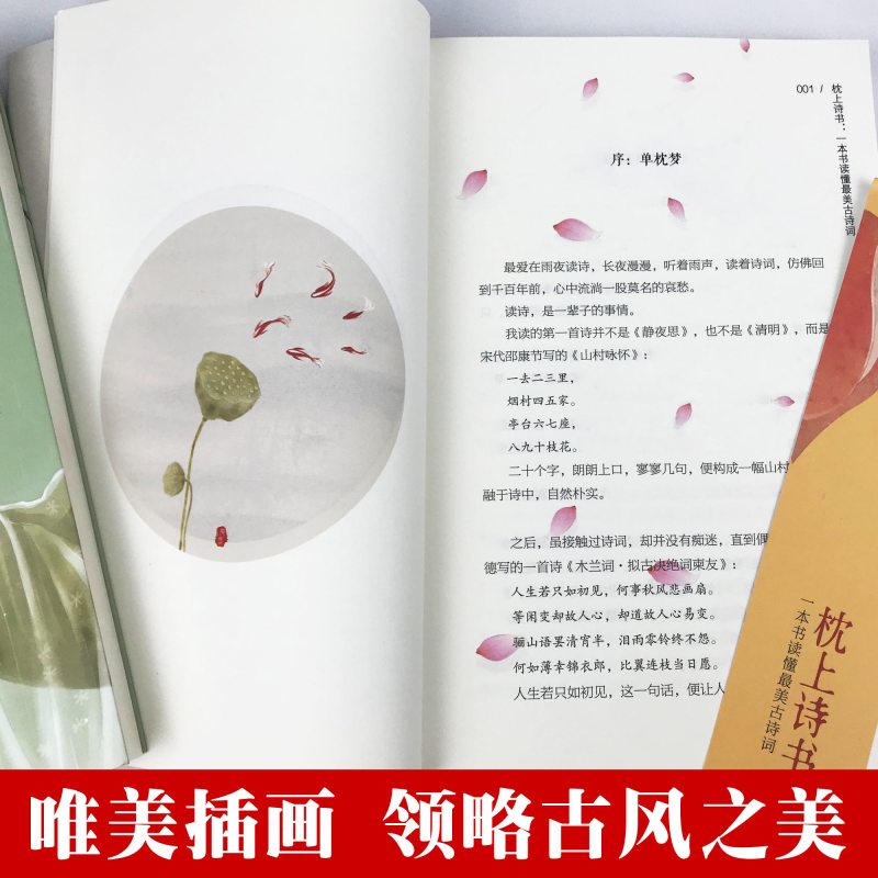 [正版] 枕上诗书系列全套4册枕上诗书飞花令遇见美宋词遇见美唐诗一本书读懂美诗经中国古诗词小初高课外书籍