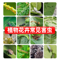 美顿邦-杀虫喷射剂0.3%-植物-2瓶装