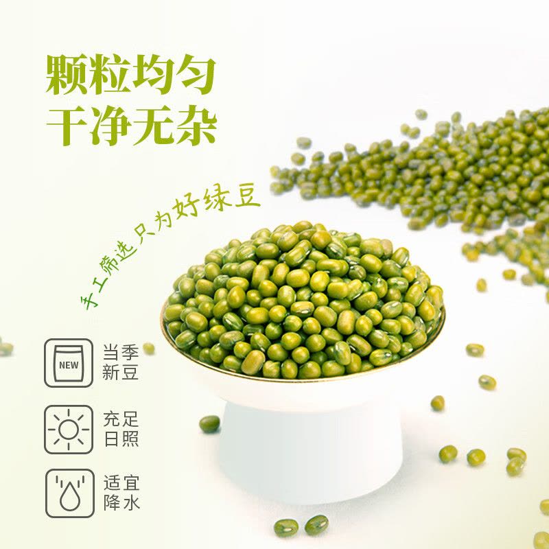 伊佳尚品 绿豆真空包装 500g/袋图片