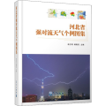 河北省强对流天气个例图集