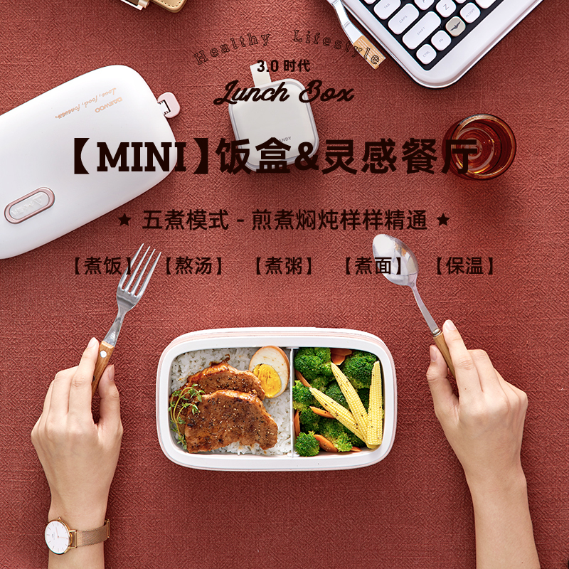 大宇(DAEWOO)电热饭盒可插电加热保温自热蒸热饭菜神器电饭锅煲小上班族 DY-FH101 白色