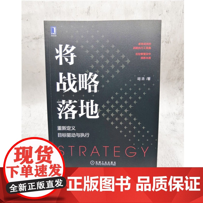 将战略落地 胡浩 著 管理高清大图
