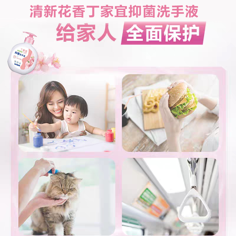 丁家宜洗手液420g.高清大图