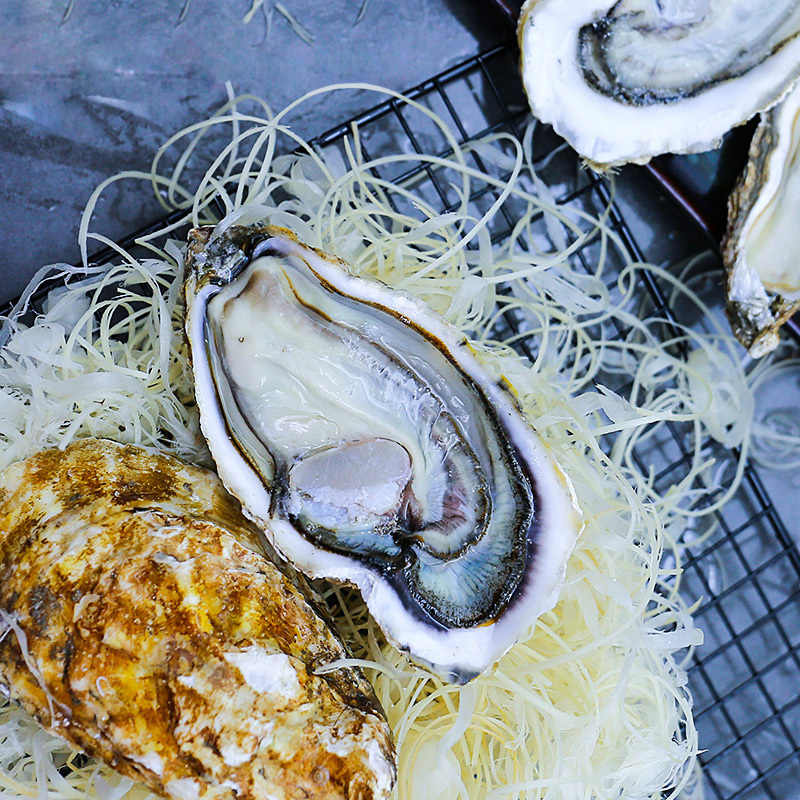 海洋岛N4大连新鲜大生蚝鲜活牡蛎即食海鲜水产海蛎子3800g
