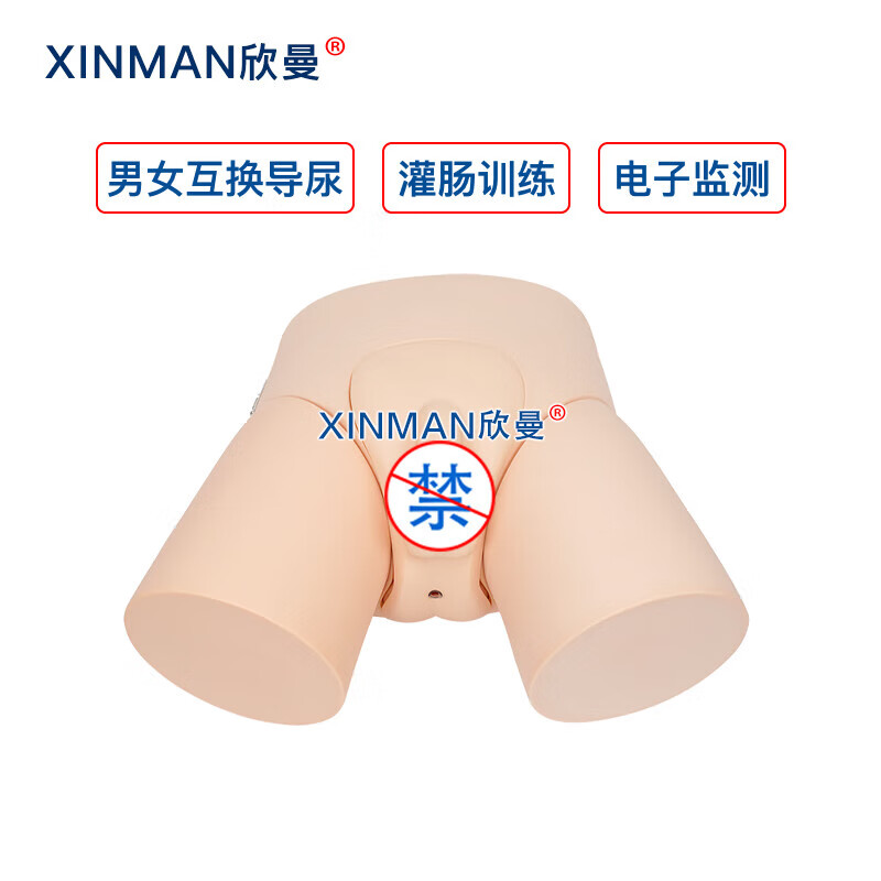 欣曼科教 电子导尿灌肠操作训练模型XM-H13高清大图