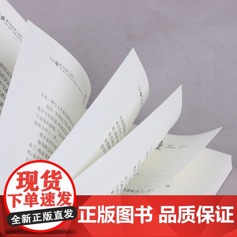 根鸟 草房子作者曹纯美小说 7-8-9-12岁三四五六年级中小学生课外阅读书籍 少儿童文学教辅读物 寒暑假阅读书目 正版高清大图