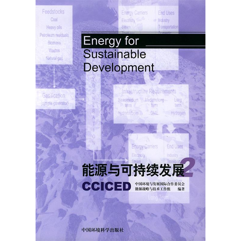 正版新书】能源与可持续发展.2中国环境与发展国际合作委员会能源