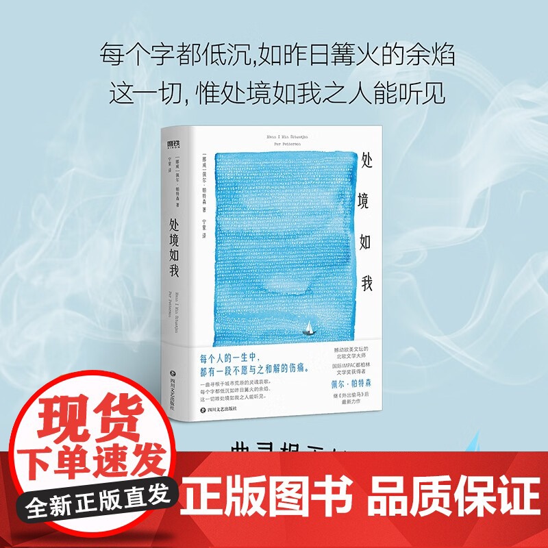 处境如我 佩尔·帕特森 著 小说高清大图