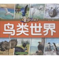 童眼识天下 童心 编绘 少儿 文轩网