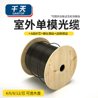 千天(QANTOP)单模GYXTW中心管式6芯光缆 室外铠装光纤线 室外铠装架空地埋管道光缆 100米 可定制长度