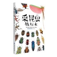 [正版图书]采昆虫做标本 昆虫自然百科全书 海峡书局