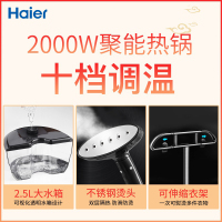 海尔(Haier)挂烫机HGS-2510 香槟金经典款 家用蒸汽电熨斗 大功率小型立式手持 迷你熨烫衣服