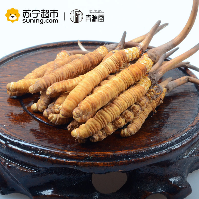 青源堂 冬虫夏草 0.5克/条 20条装10克 新鲜冬虫夏草青海玉树高海拔雪山虫草正品 可泡酒泡水