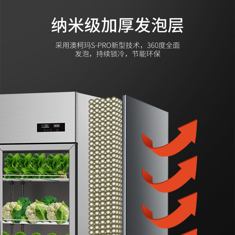 澳柯玛(AUCMA)VC-910HT三门展示柜冷藏保险柜商用点菜柜饮料柜两门开门立式高清大图