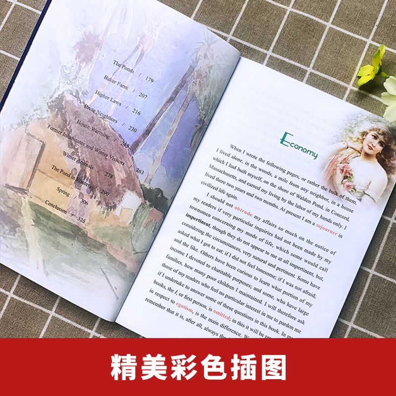 瓦尔登湖 英文 海豚