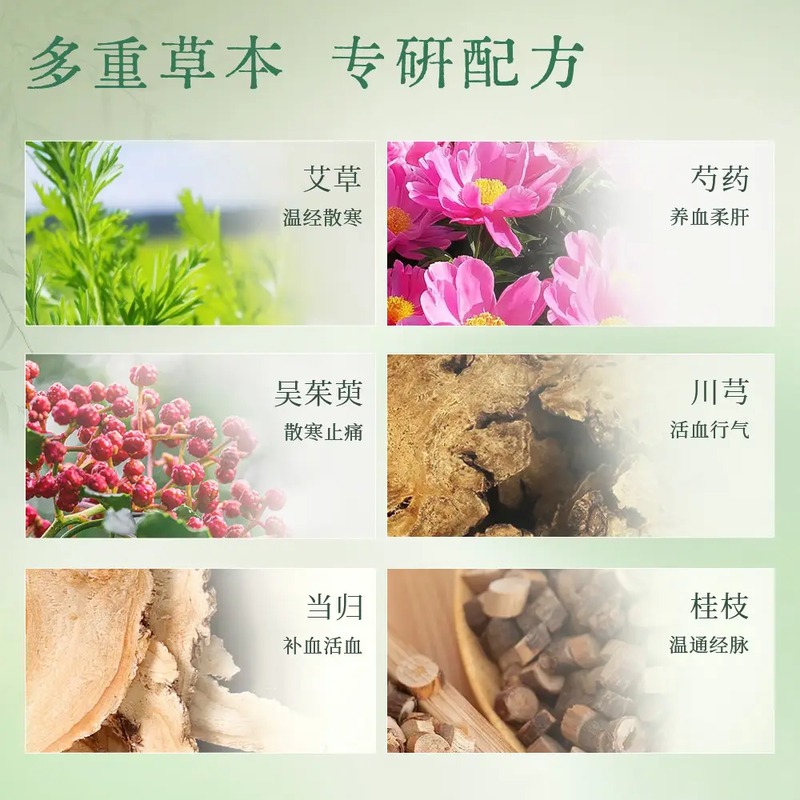 艾修堂 艾草精油艾灸贴 (6片装) AP-AJT高清大图