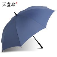 天堂伞超大双人三人自动伞加固大伞直柄男女学生晴雨两用伞商务伞 蓝灰色