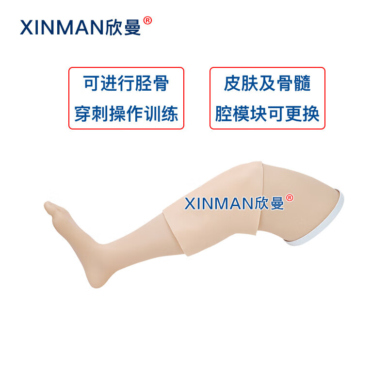欣曼科教 胫骨穿刺模拟训练模块 骨髓腔穿刺输液训练模型XM-GC4