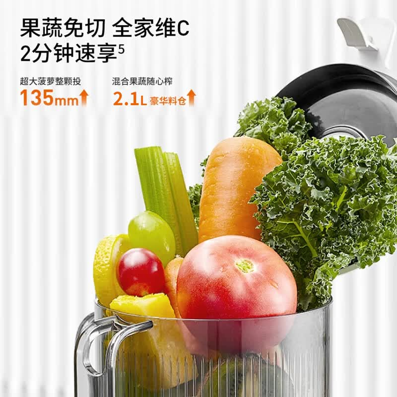 九阳(Joyoung) Z13-LZ585 原汁机高清大图
