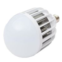 明特佳 MTJ-QPD1005 30W、IP40、AC220V、5700K、LED灯泡(计价单位:套) 白色