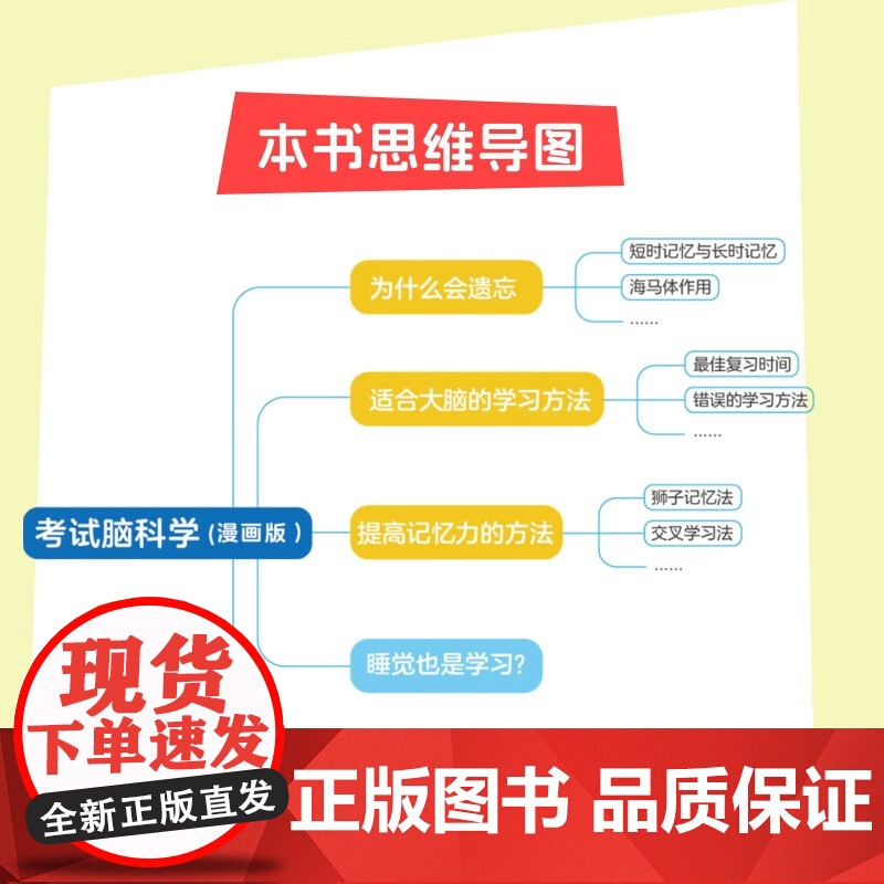 考试脑科学 漫画版 池谷裕二 著 科普读物高清大图