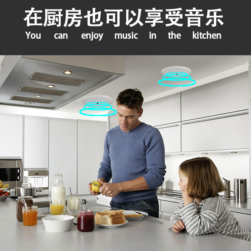 索爱(soaiy)SA-1吸顶喇叭套装天花吊顶音响定压蓝牙功放分区背景音乐音箱主机高清大图