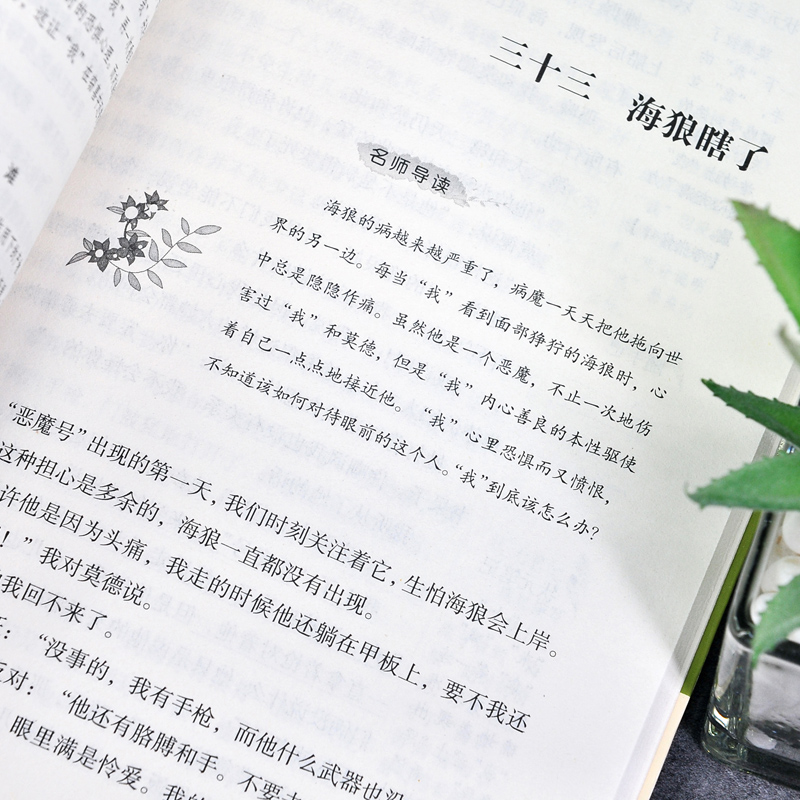 海狼 [正版]带考题 海狼书 原著 美杰克伦敦著 小学生初中生语文世界名著小说书籍 名作名家导读核心系列图书 hx高清大图